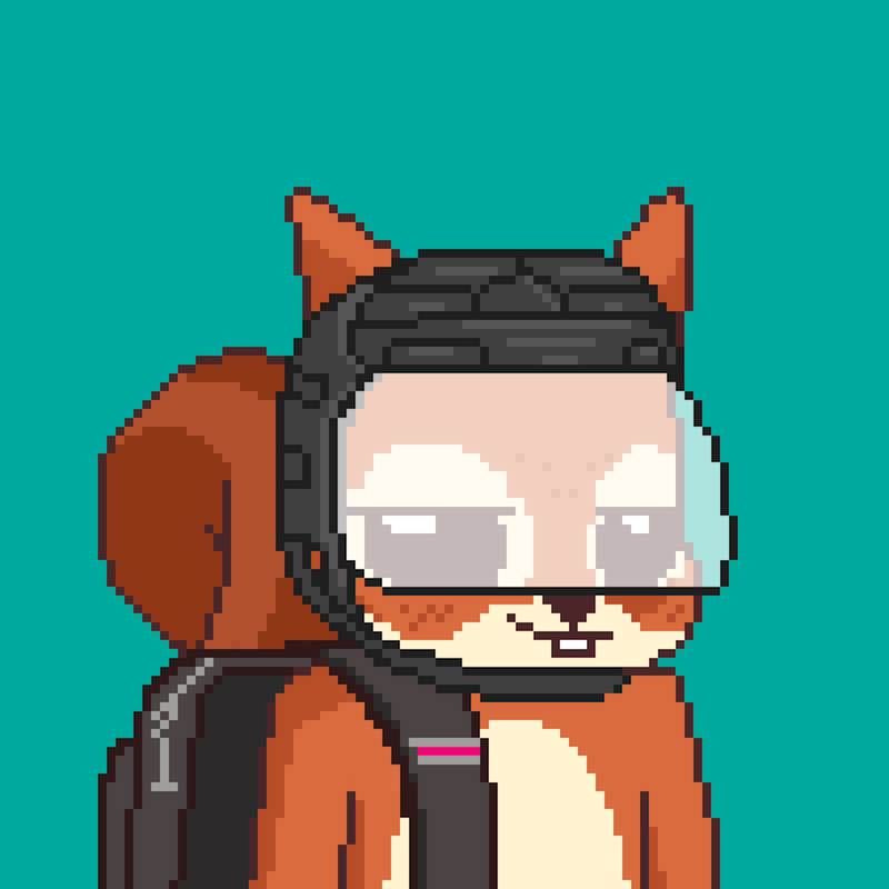 Pixel Squirrels #8991